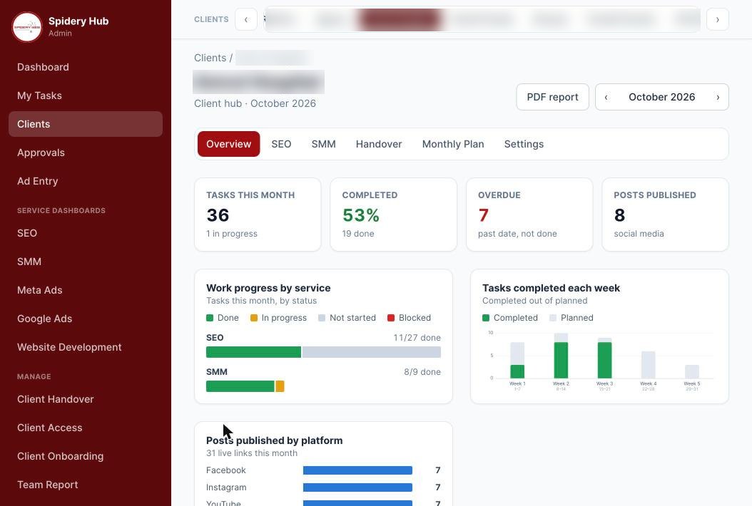 Spidery Hub dedicated client dashboard — tasks this month, completion, work progress by service and posts published